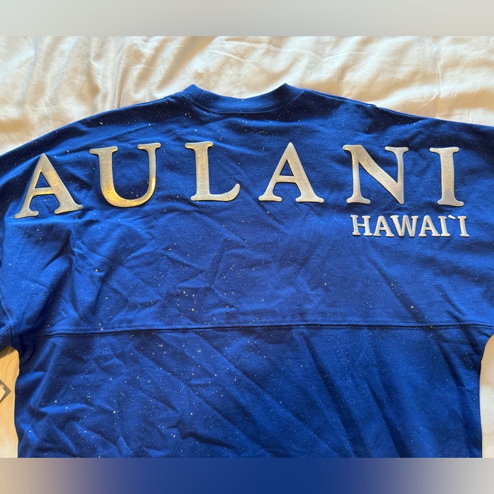 Disney Aulani Hawaii Spirit Jersey